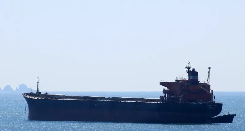 POWER LOONG Bulk Carrier IMO 9047051 photo 6