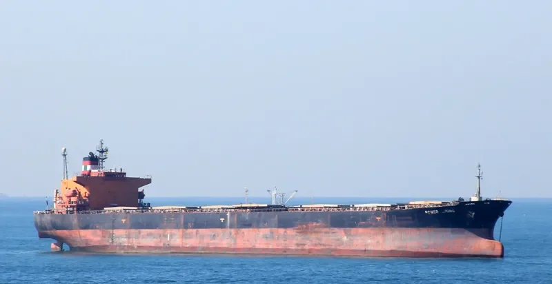 POWER LOONG Bulk Carrier IMO 9047051 photo 7