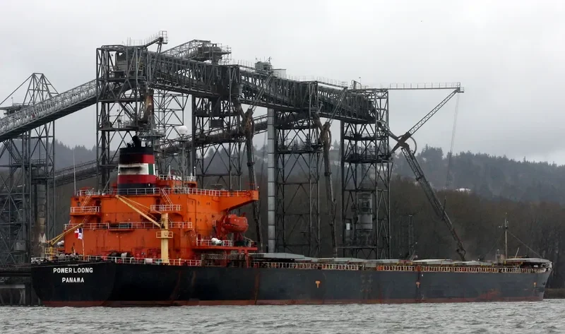 POWER LOONG Bulk Carrier IMO 9047051 photo 9