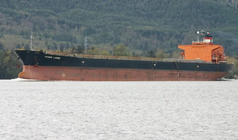 POWER LOONG Bulk Carrier IMO 9047051 photo 10