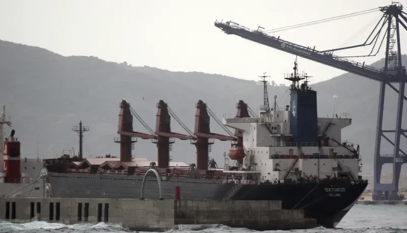 TEKTONEOS Bulk Carrier IMO 9047063 photo 2