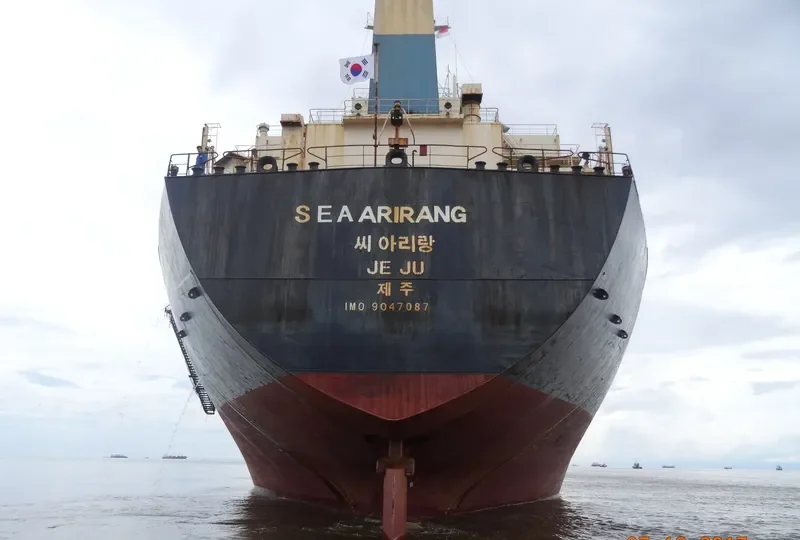 ALPS Bulk Carrier IMO 9047087