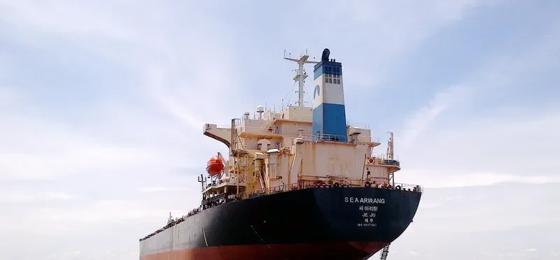 ALPS Bulk Carrier IMO 9047087 photo 4