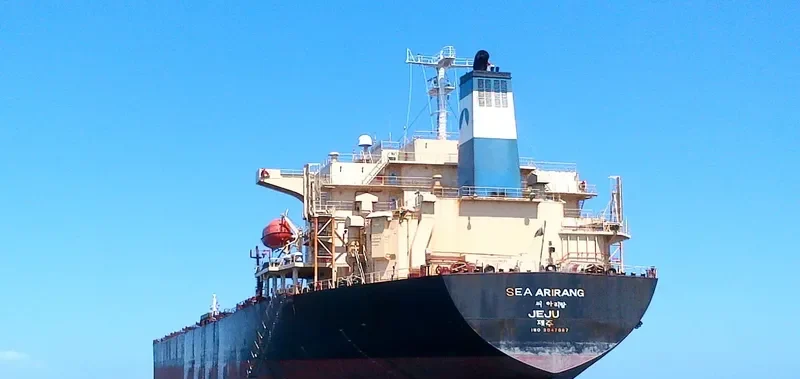 ALPS Bulk Carrier IMO 9047087 photo 6