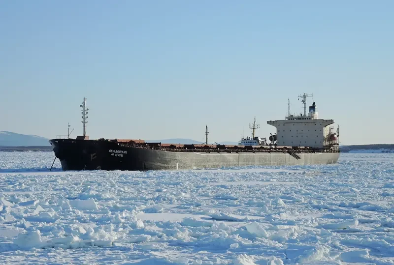 ALPS Bulk Carrier IMO 9047087 photo 7