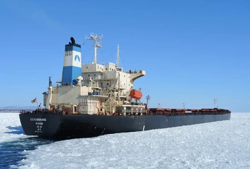 ALPS Bulk Carrier IMO 9047087 photo 8