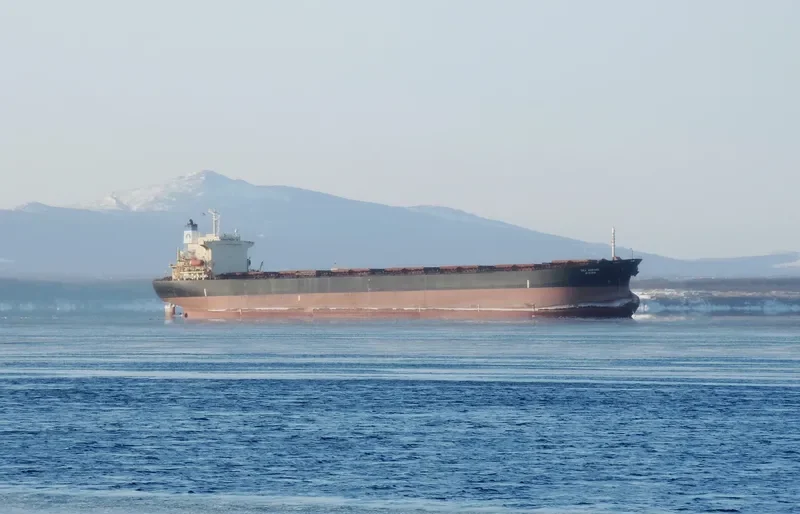 ALPS Bulk Carrier IMO 9047087 photo 9