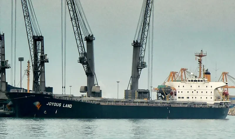 JOYOUS LAND Bulk Carrier IMO 9047104