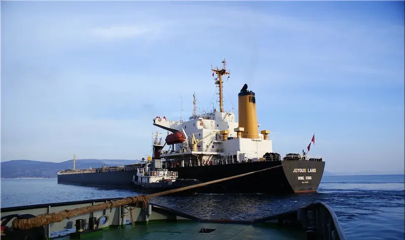 JOYOUS LAND Bulk Carrier IMO 9047104 photo 3