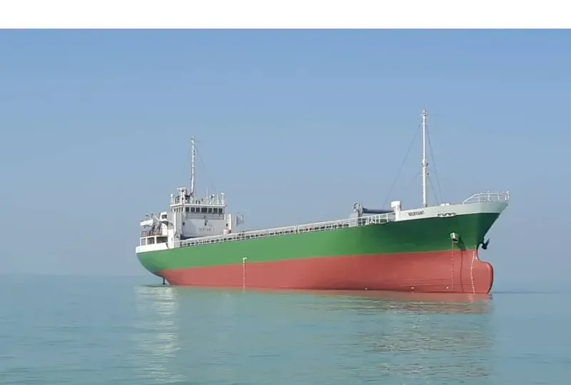 MERYAN 7 General Cargo IMO 9047348 photo 2