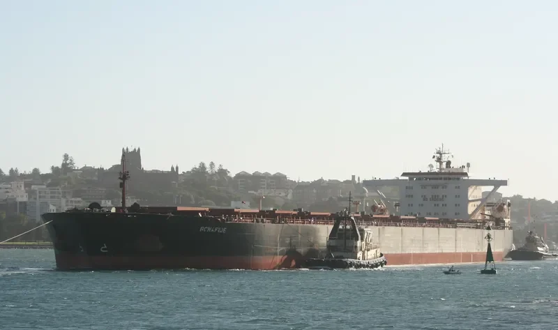 BONAFIDE Bulk Carrier IMO 9047439 photo 5