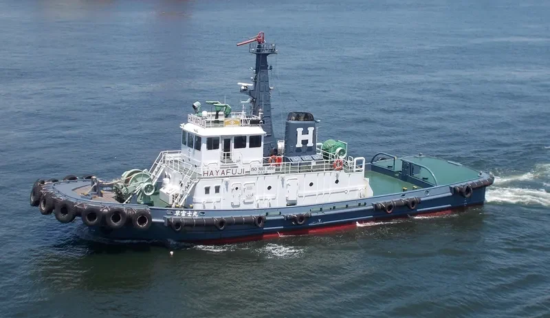 HAYAFUJI MARU General Cargo IMO 9047611