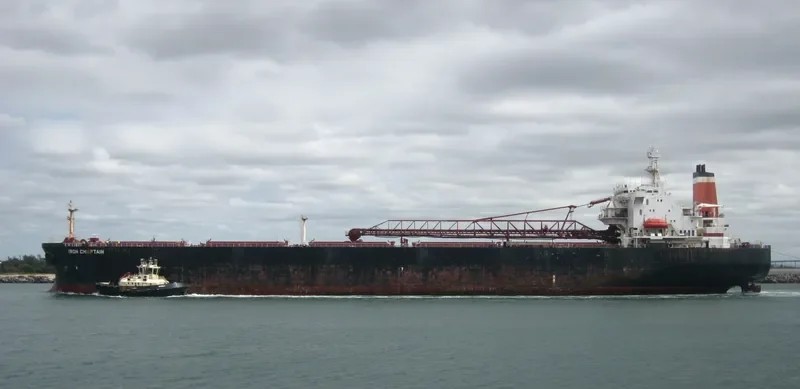 IRON CHIEFTAIN Bulk Carrier IMO 9047740 photo 2