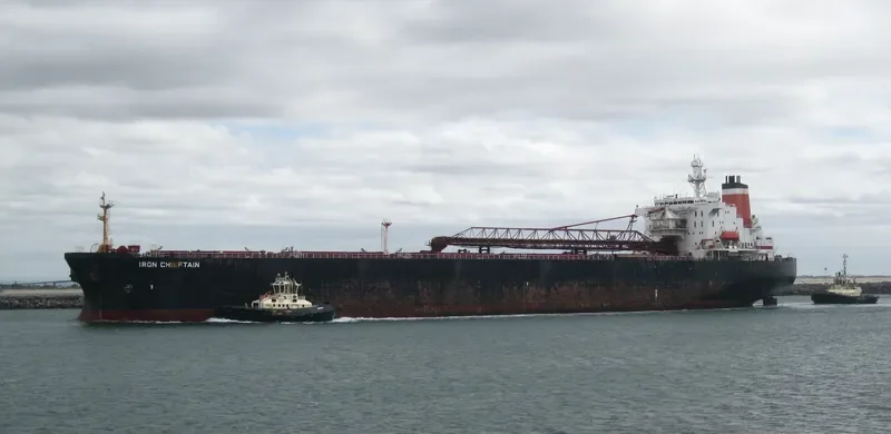 IRON CHIEFTAIN Bulk Carrier IMO 9047740 photo 3