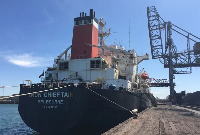 IRON CHIEFTAIN Bulk Carrier IMO 9047740 photo 4