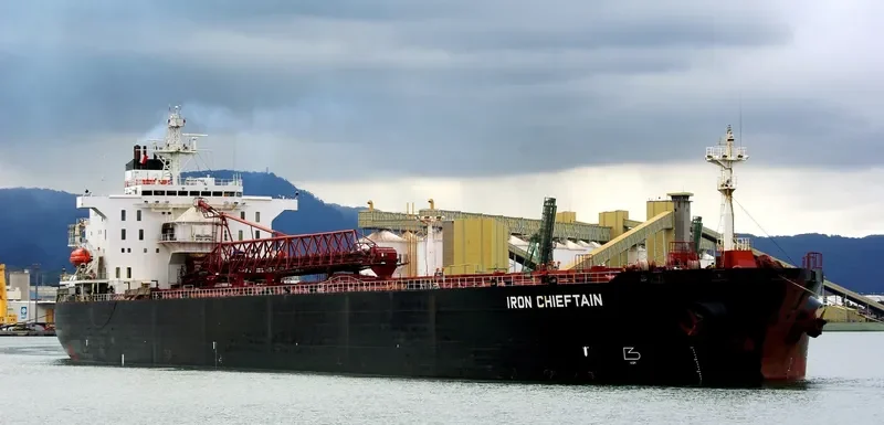 IRON CHIEFTAIN Bulk Carrier IMO 9047740 photo 7