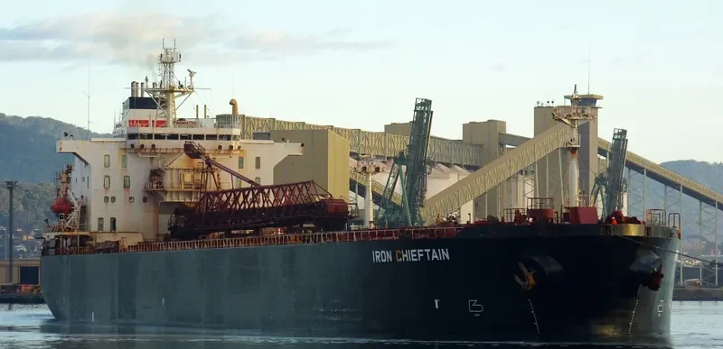 IRON CHIEFTAIN Bulk Carrier IMO 9047740 photo 9