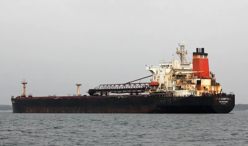 IRON CHIEFTAIN Bulk Carrier IMO 9047740 photo 10