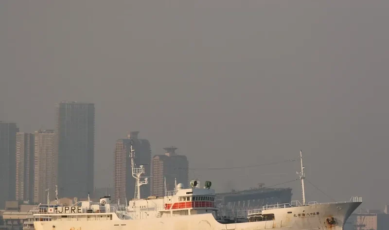 NO.377 ORYONG General Cargo IMO 9047893