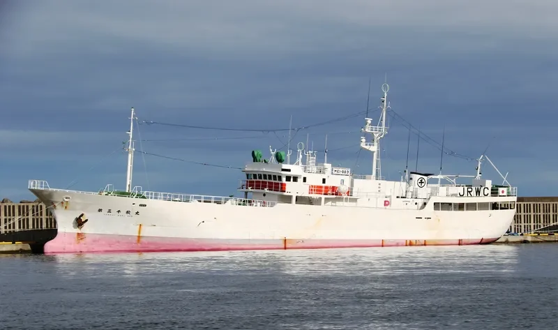 SENSHU MARU NO.3 General Cargo IMO 9047908 photo 2