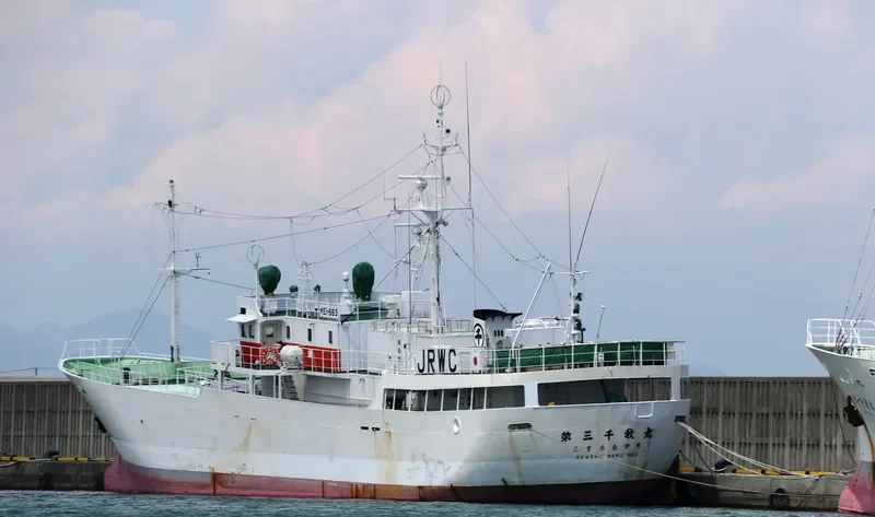 SENSHU MARU NO.3 General Cargo IMO 9047908 photo 3