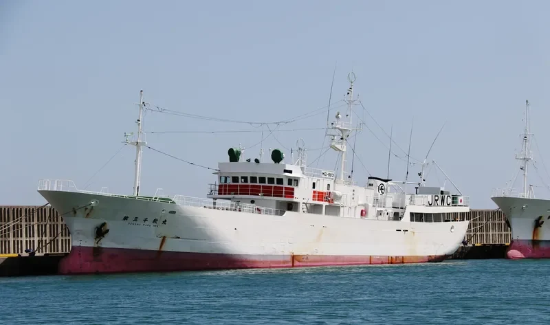 SENSHU MARU NO.3 General Cargo IMO 9047908 photo 4