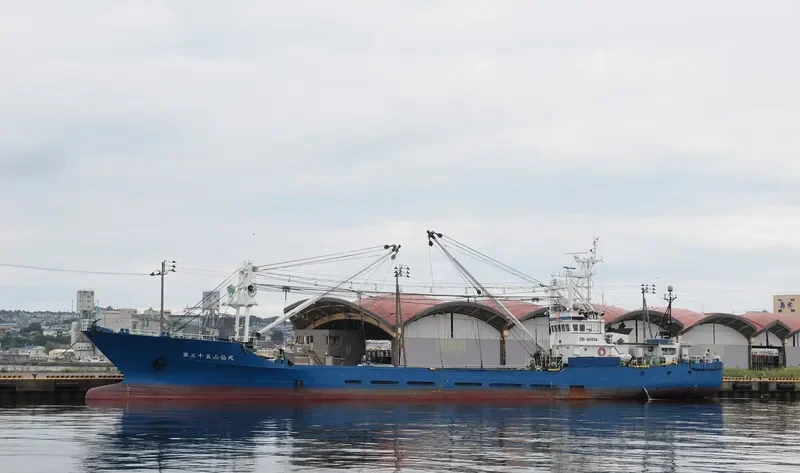 YAMASEN MARU NO.35 General Cargo IMO 9047960