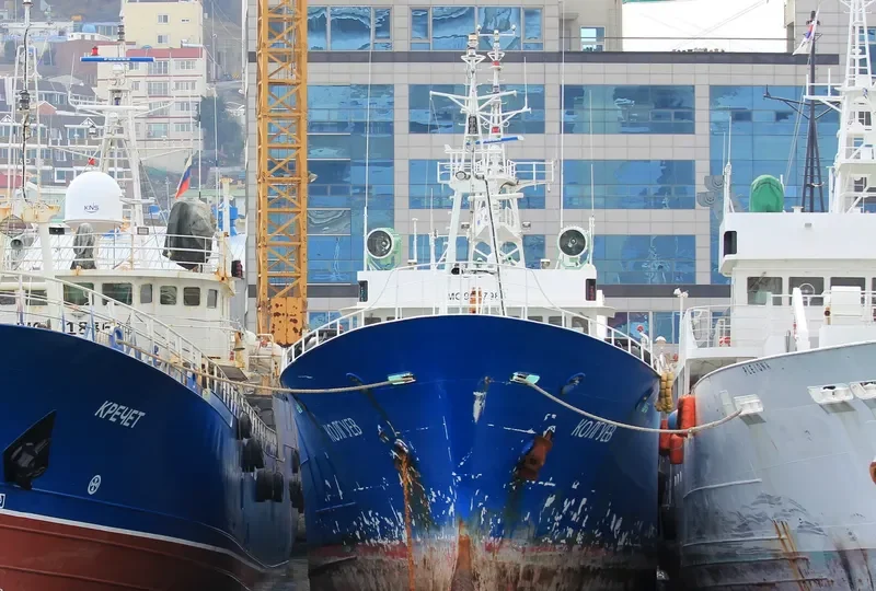 KOLGUEV General Cargo IMO 9047984 photo 8