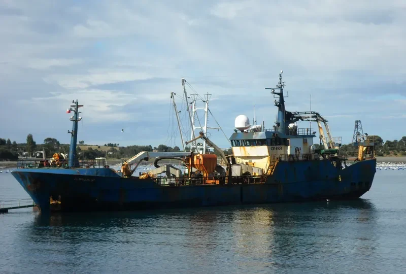 TERRANOVA General Cargo IMO 9048213