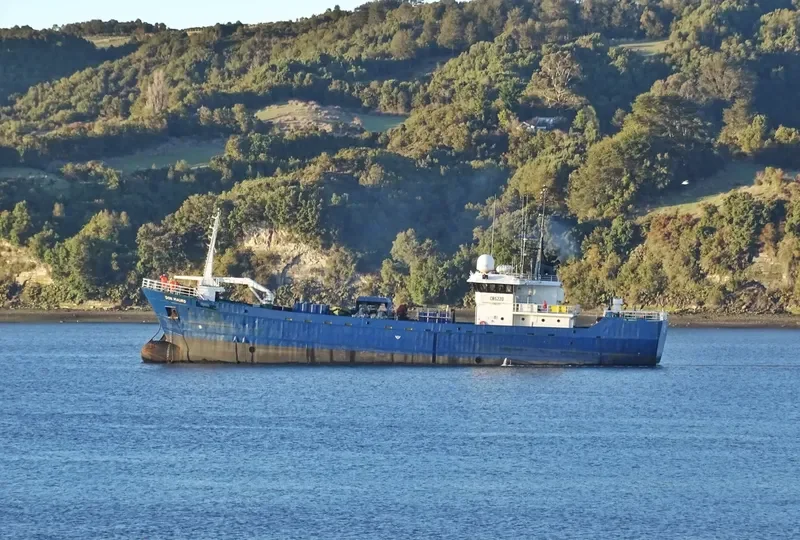 DON MAURO General Cargo IMO 9048249 photo 6