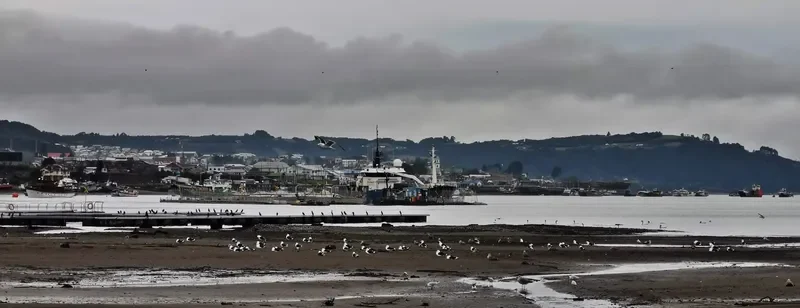 DON MAURO General Cargo IMO 9048249 photo 7