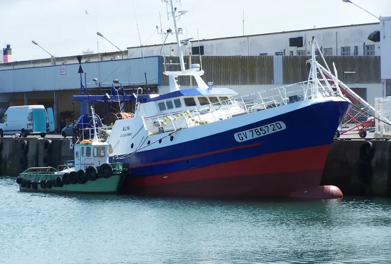 ALYA General Cargo IMO 9048380 photo 3