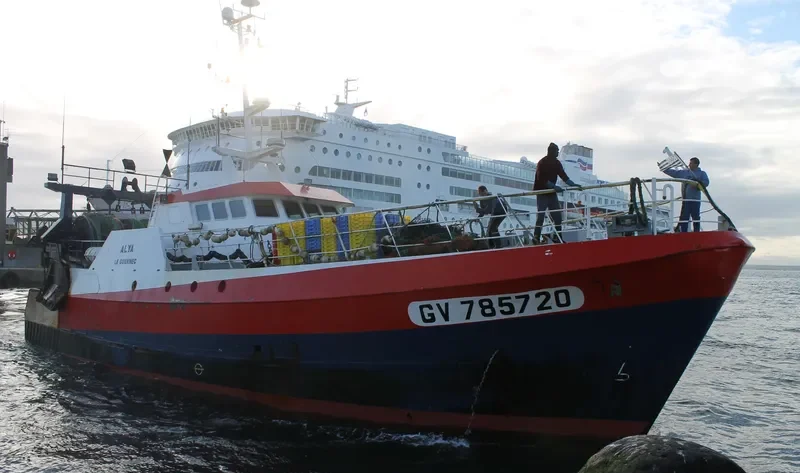 ALYA General Cargo IMO 9048380 photo 8