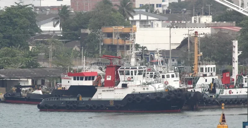 SALVADOR General Cargo IMO 9048407