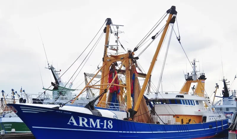 JORIS SENIOR General Cargo IMO 9048677 photo 2