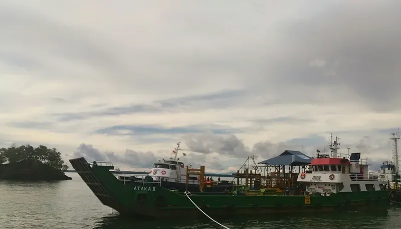 ATAKA II General Cargo IMO 9049267