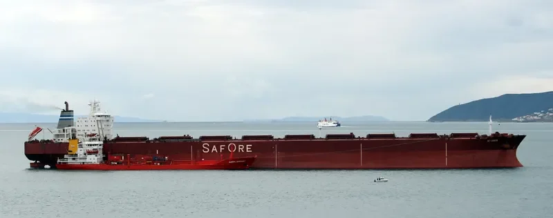 BET SCOUTER Bulk Carrier IMO 9050010 photo 3