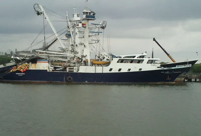 CABO DE HORNOS General Cargo IMO 9050034 photo 2