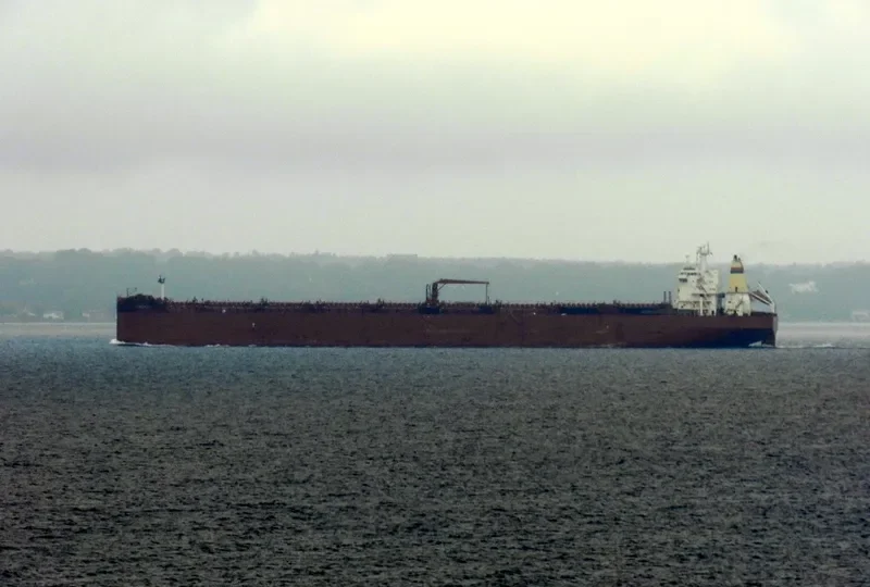 SEAROSE G Bulk Carrier IMO 9050096 photo 7