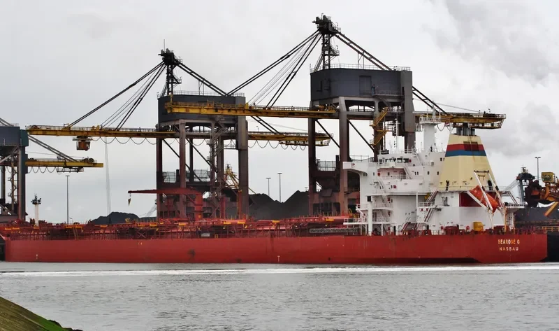 SEAROSE G Bulk Carrier IMO 9050096 photo 9