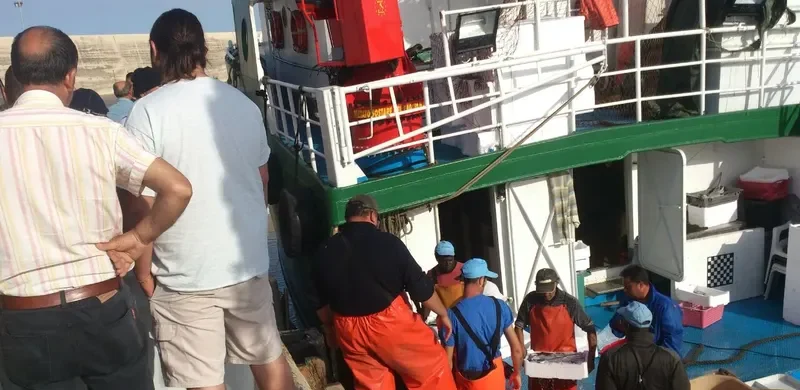ENZA MADRE General Cargo IMO 9050216 photo 2
