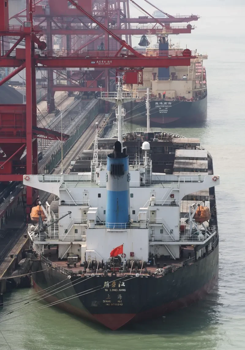 YA LONG JIANG Bulk Carrier IMO 9050242