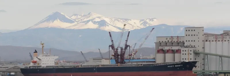 JOYOUS SOCIETY Bulk Carrier IMO 9050254 photo 2