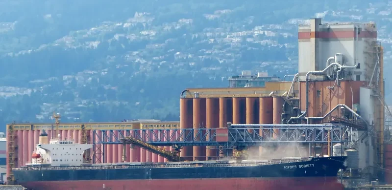 JOYOUS SOCIETY Bulk Carrier IMO 9050254 photo 3