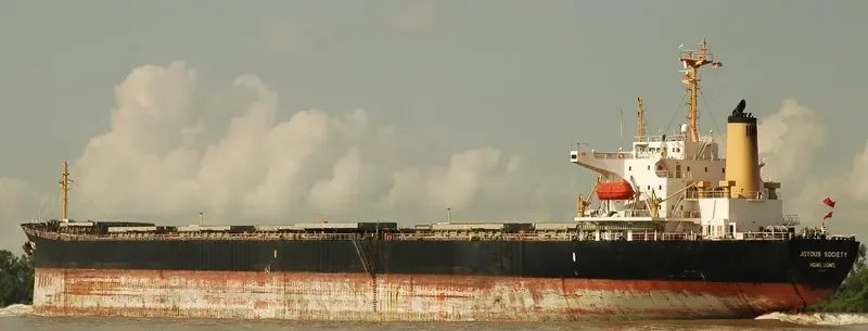 JOYOUS SOCIETY Bulk Carrier IMO 9050254 photo 5