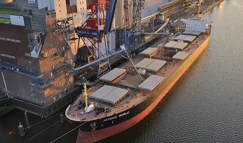 JOYOUS WORLD Bulk Carrier IMO 9050266 photo 10