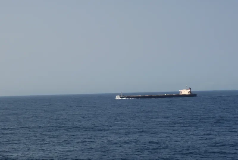 SILVER OCEAN Bulk Carrier IMO 9050307 photo 2