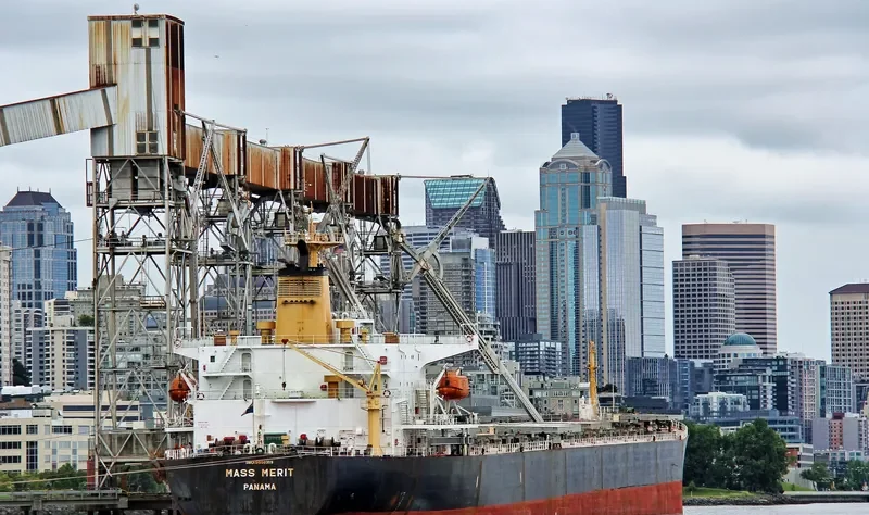 MASS MERIT Bulk Carrier IMO 9050319