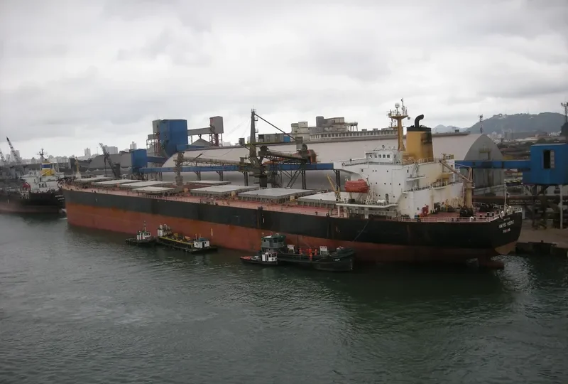 MASS MERIT Bulk Carrier IMO 9050319 photo 7