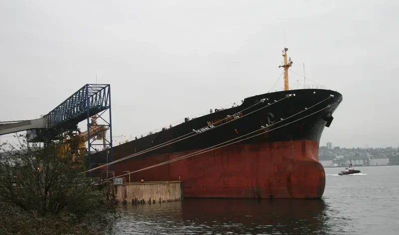 MASS MERIT Bulk Carrier IMO 9050319 photo 9